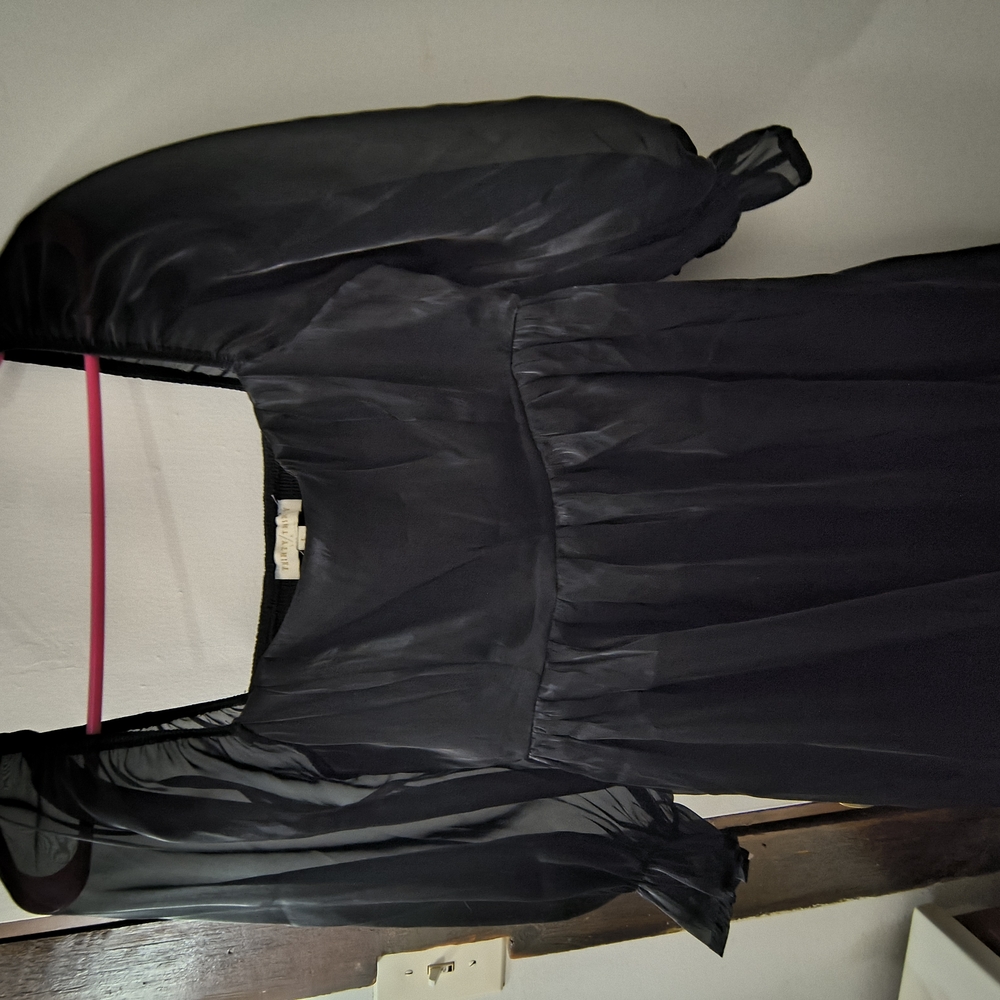 Elegant Black Sheer Dress